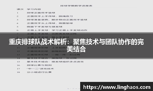 重庆排球队战术解析：聚焦技术与团队协作的完美结合